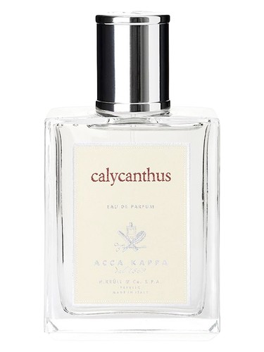 Calycanthus