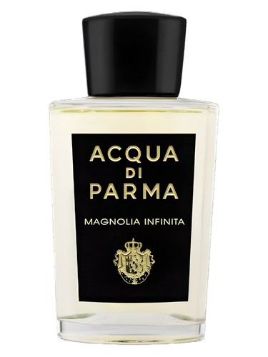 Magnolia Infinita