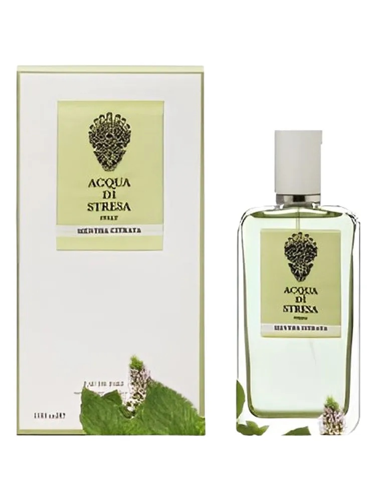 Mentha Citrata