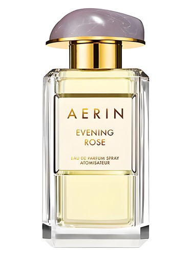Evening Rose