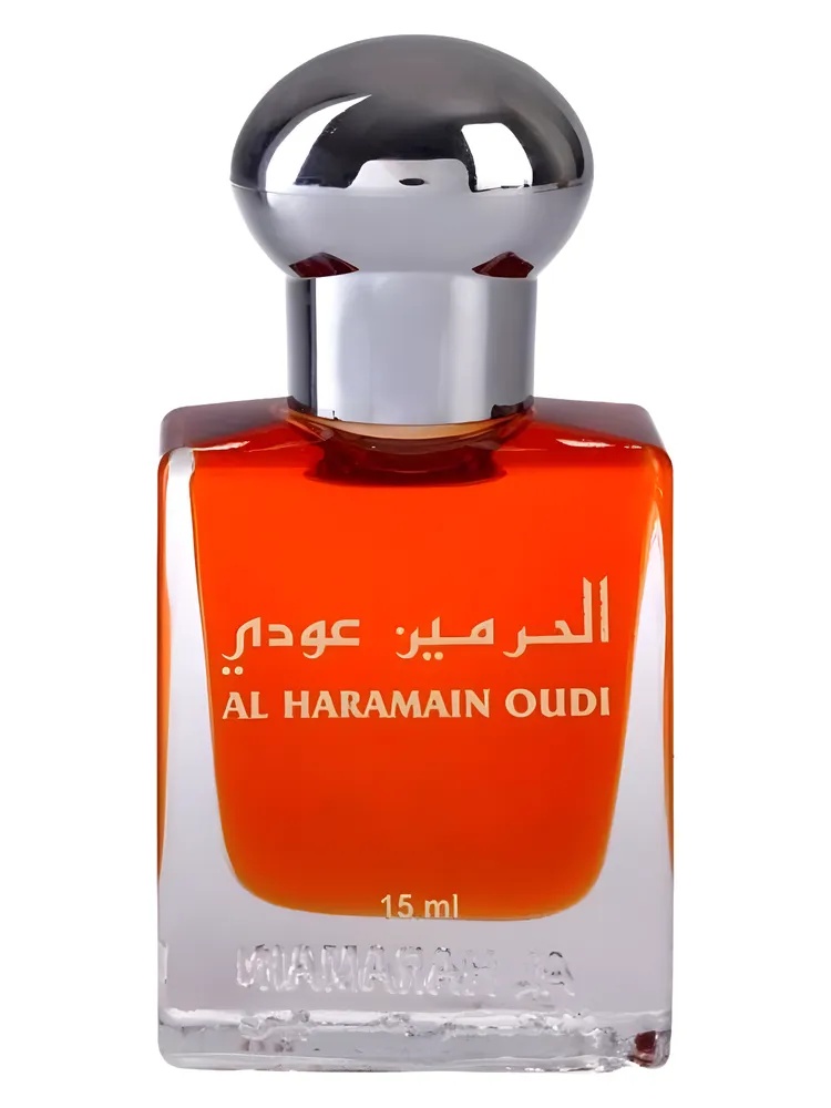 Oudi