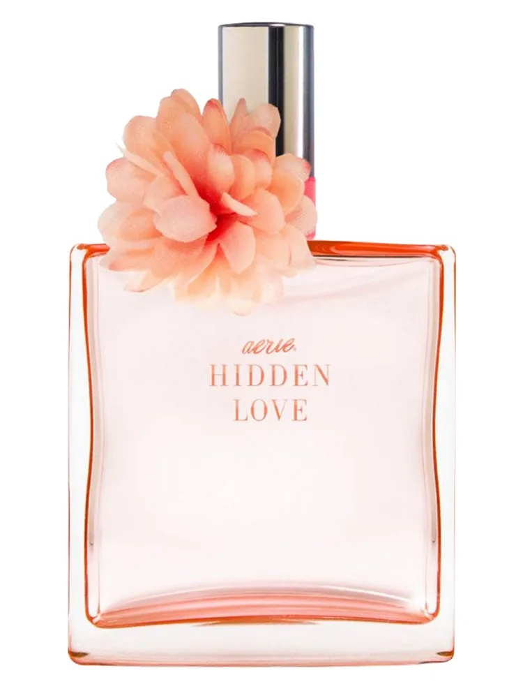 Hidden Love