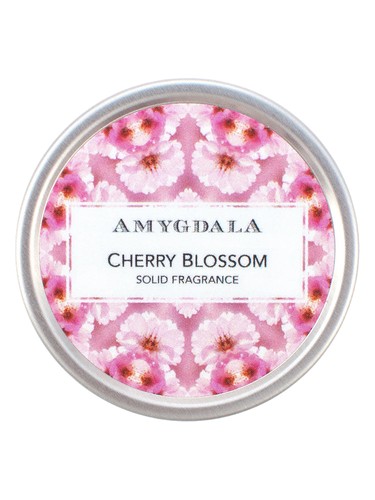 Cherry Blossom