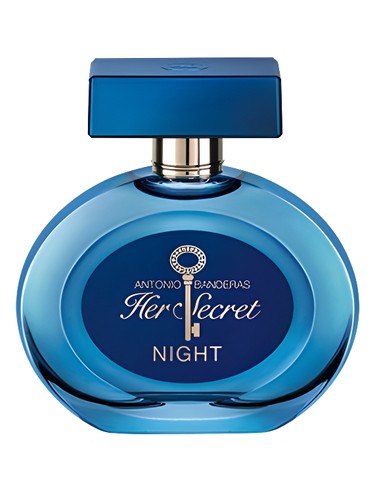 Her Secret Night