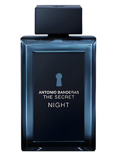 The Secret Night