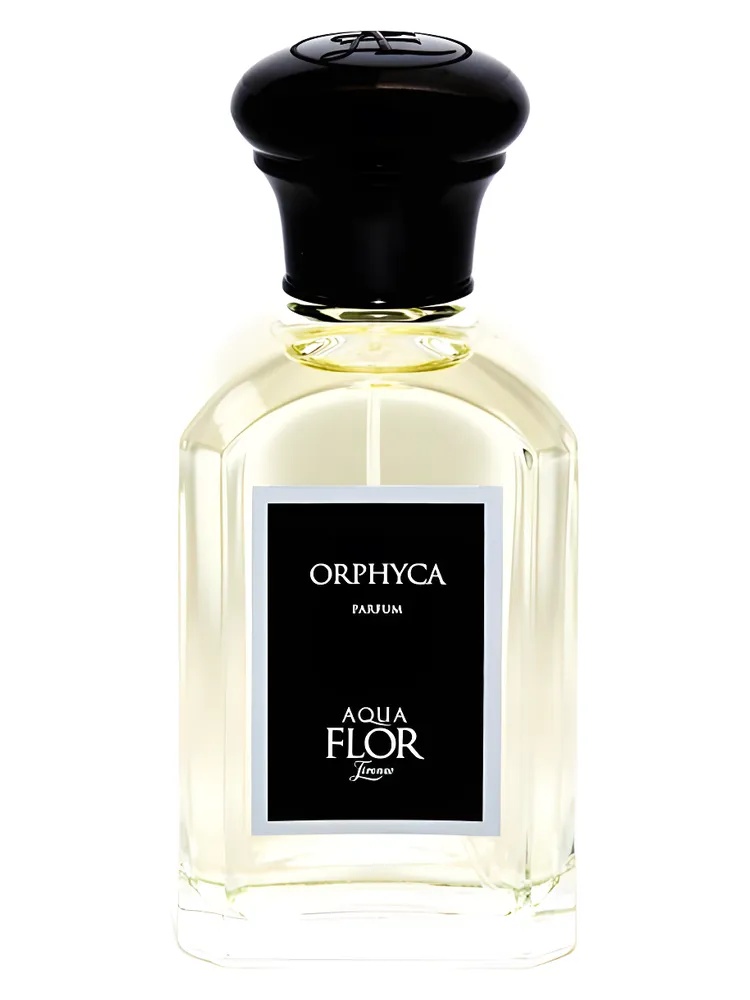 Orphyca