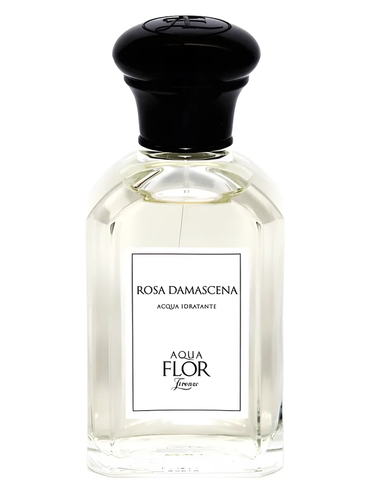 Rosa Damascena