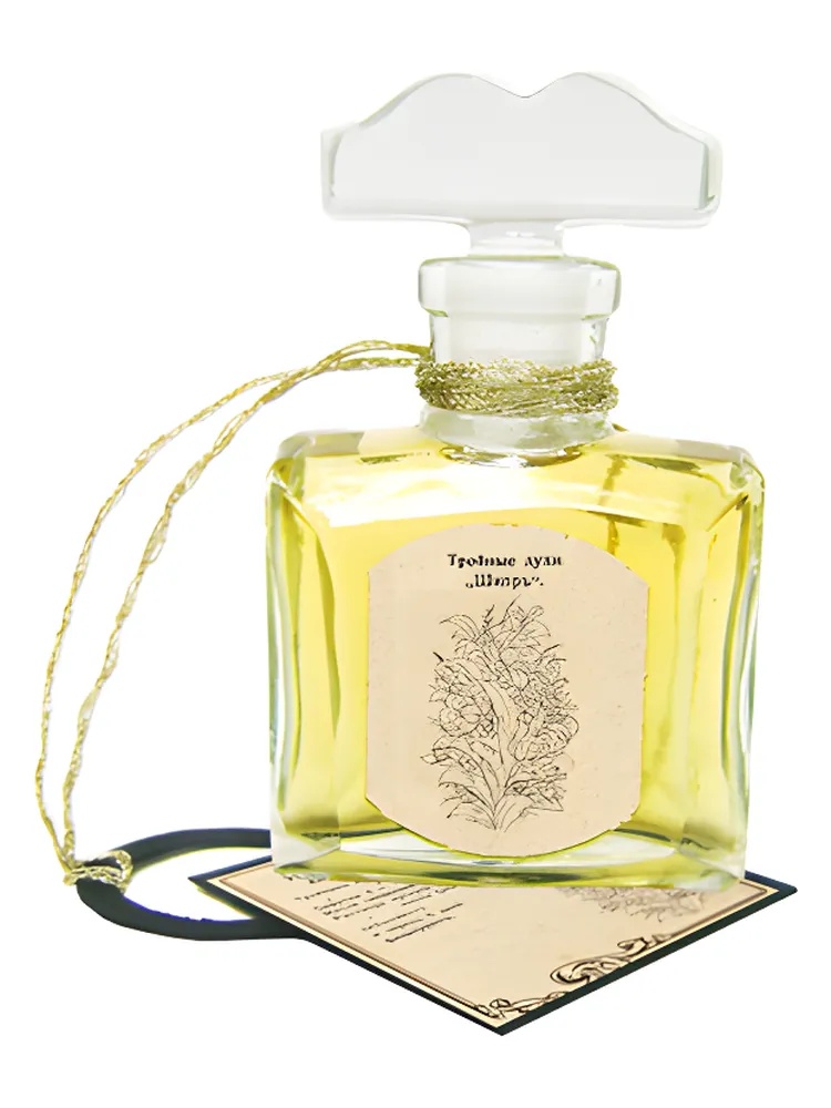 Chypre