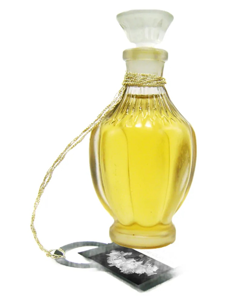 Narcisse Dark
