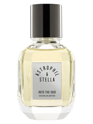 Into The Oud