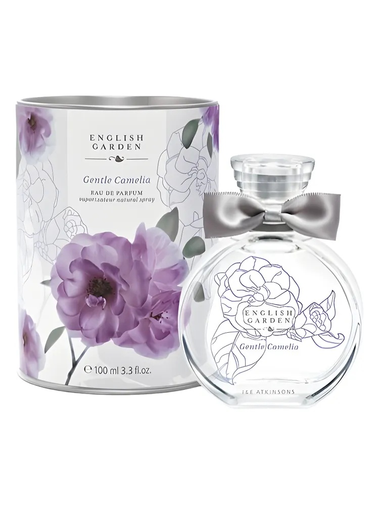 Gentle Camelia