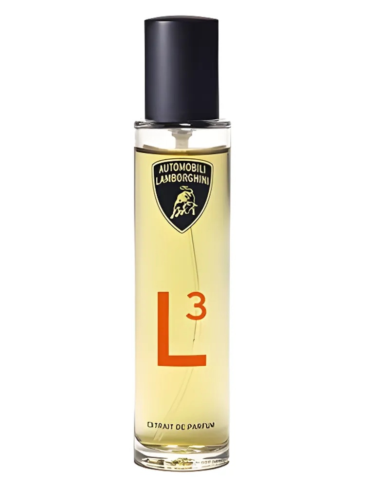 L3