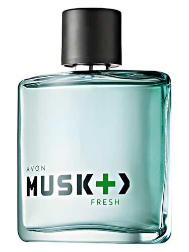 Musk + > Fresh