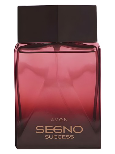 Segno Success