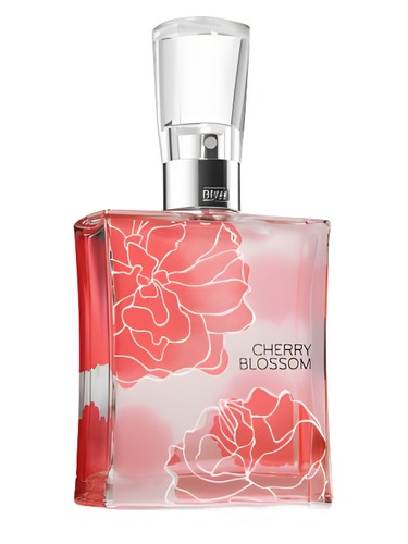 Cherry Blossom