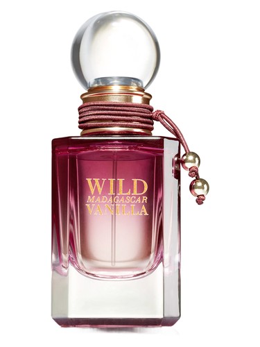 Wild Madagascar Vanilla