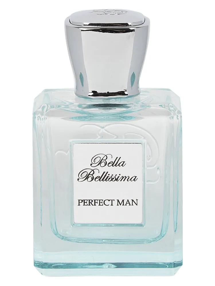 Perfect Man