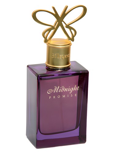 Midnight Promise