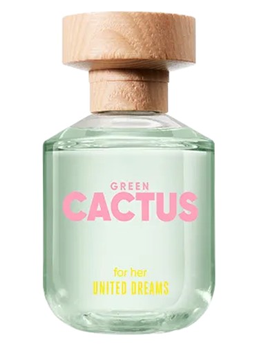 United Dreams Green Cactus For Her