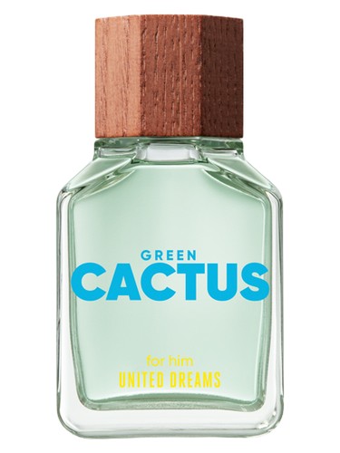 United Dreams Green Cactus For Him