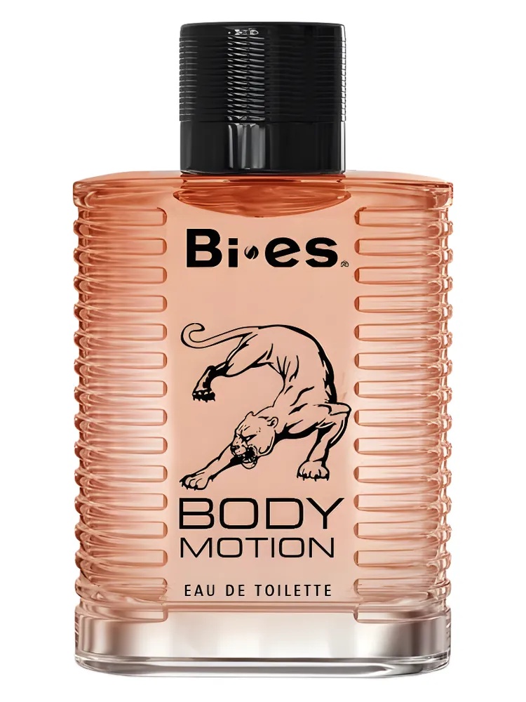 Body Motion