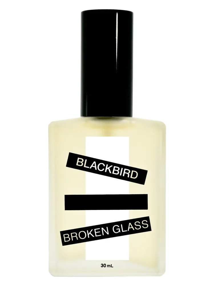 Broken Glass