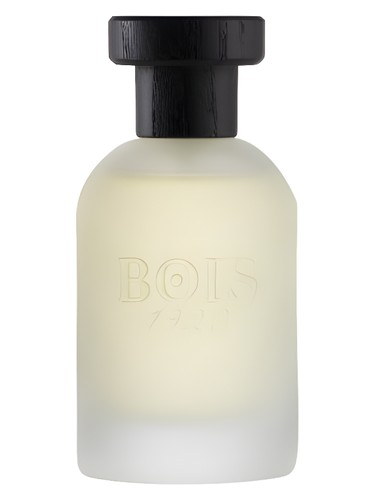 Vetiver Ambrato