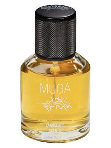 Muga