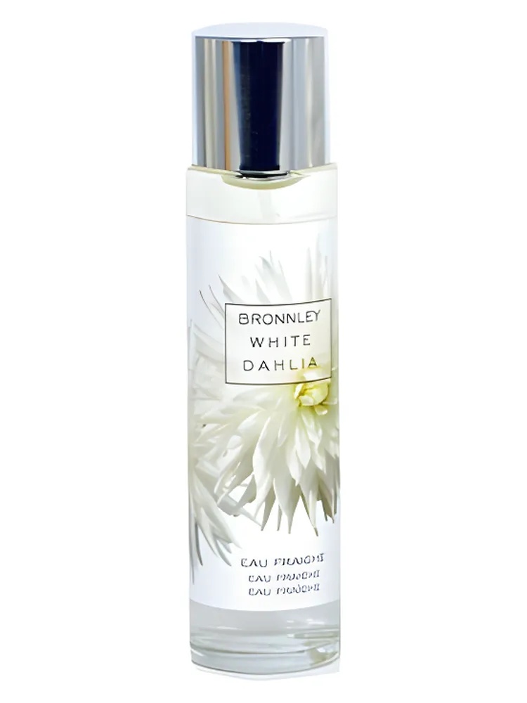 White Dahlia