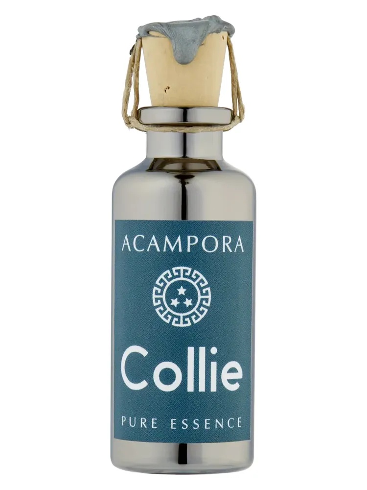 Collie – Pure Essence
