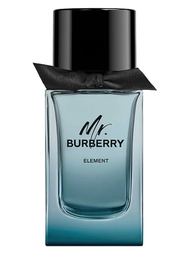 Mr Burberry Element