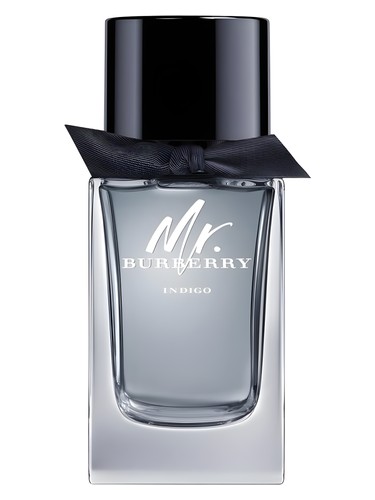 Mr Burberry Indigo