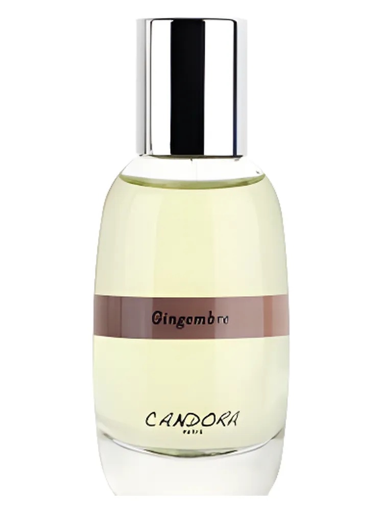 Gingembre