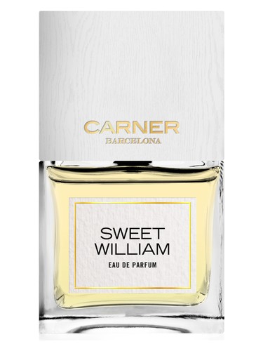 Sweet William