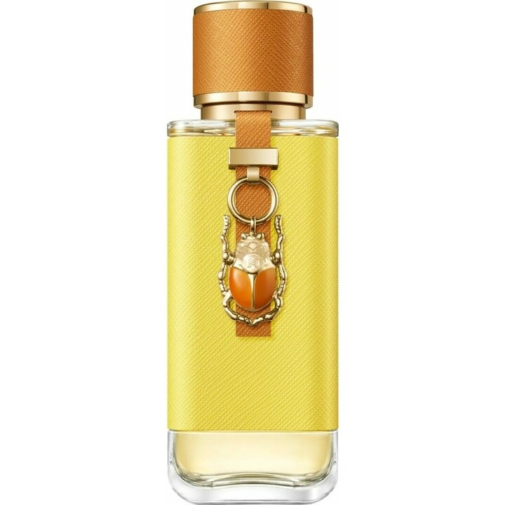 Bottle image