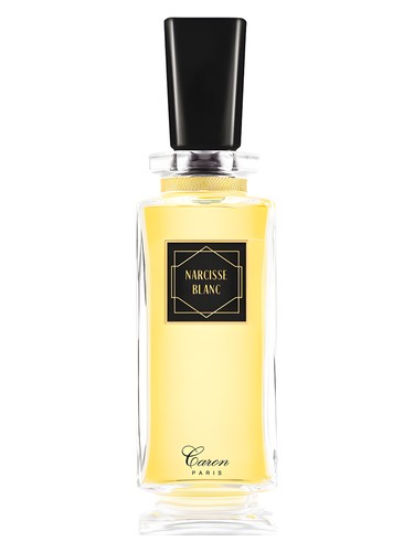 Narcisse Blanc