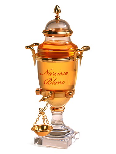 Narcisse Blanc