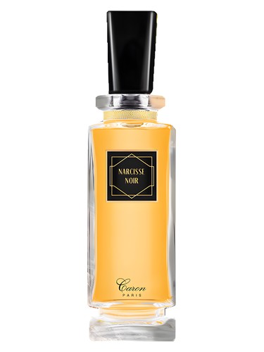 Narcisse Noir
