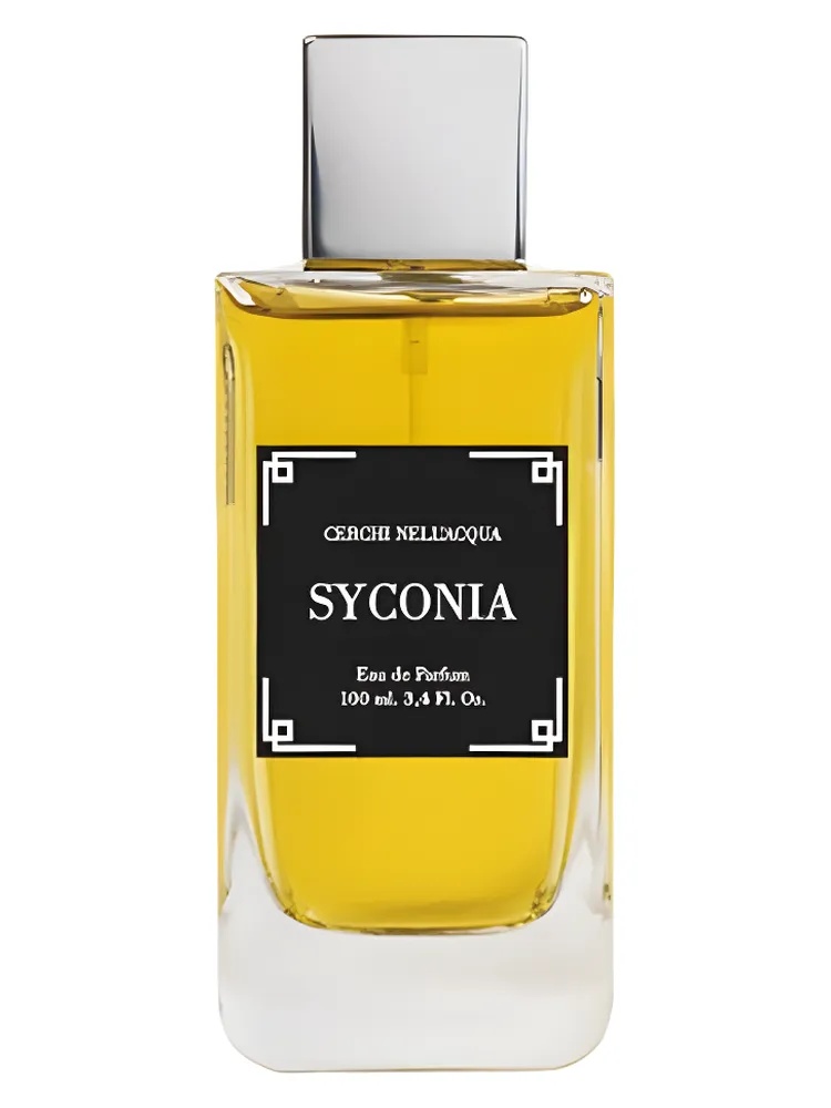 Syconia