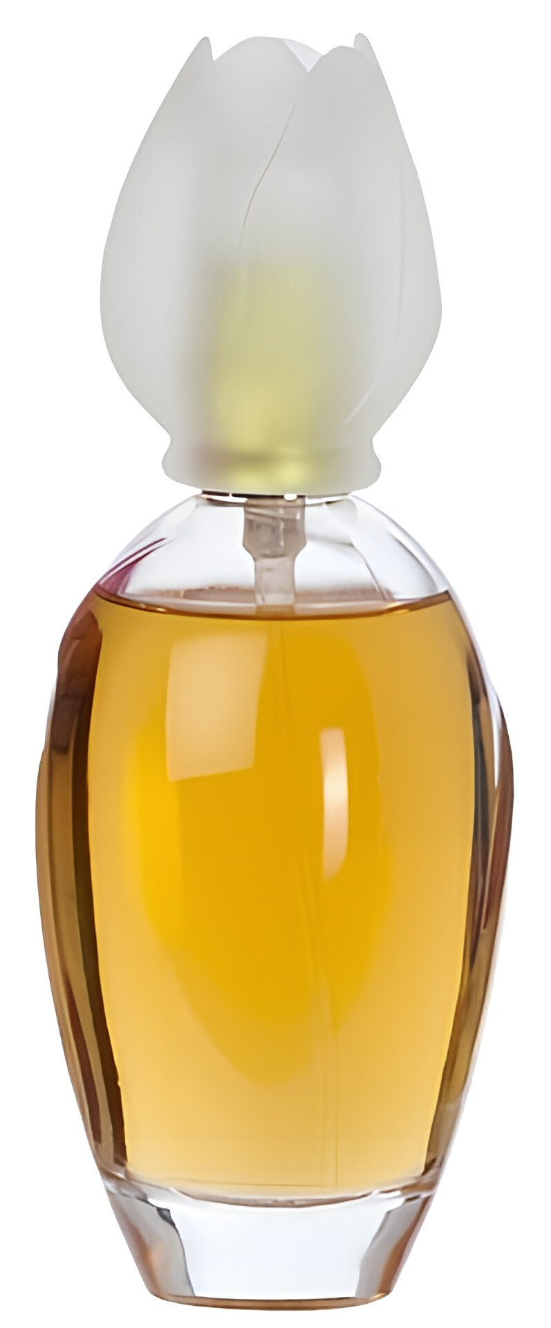 Bottle image