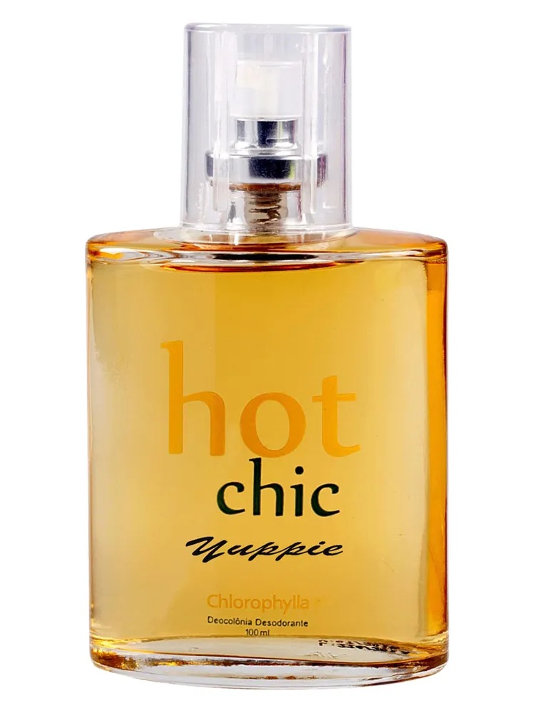 Hot Chic