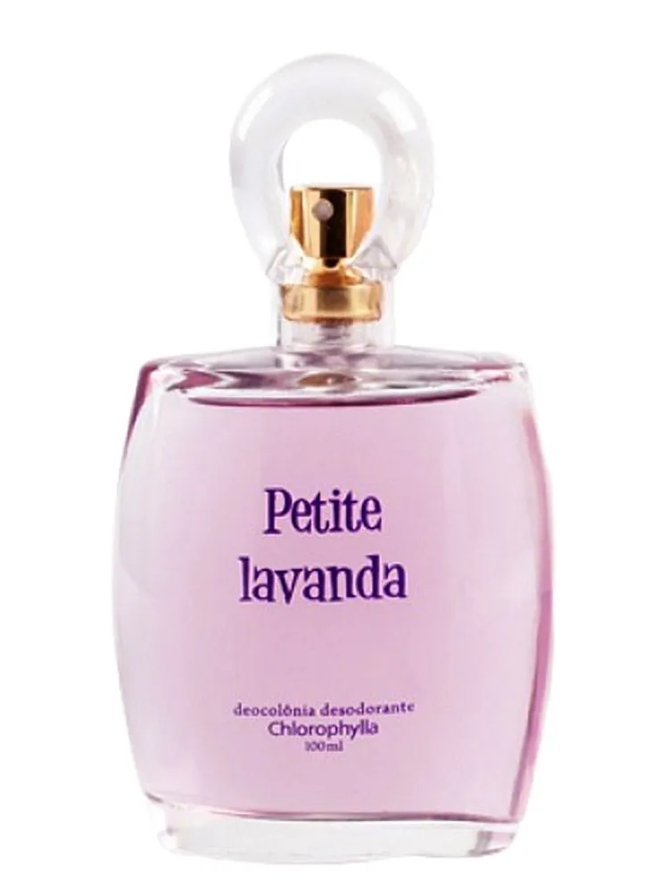 Petite Lavanda