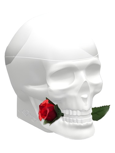 Ed Hardy Skulls & Roses for Her