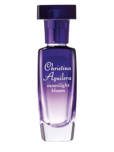 Moonlight Bloom