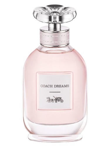 Coach Dreams