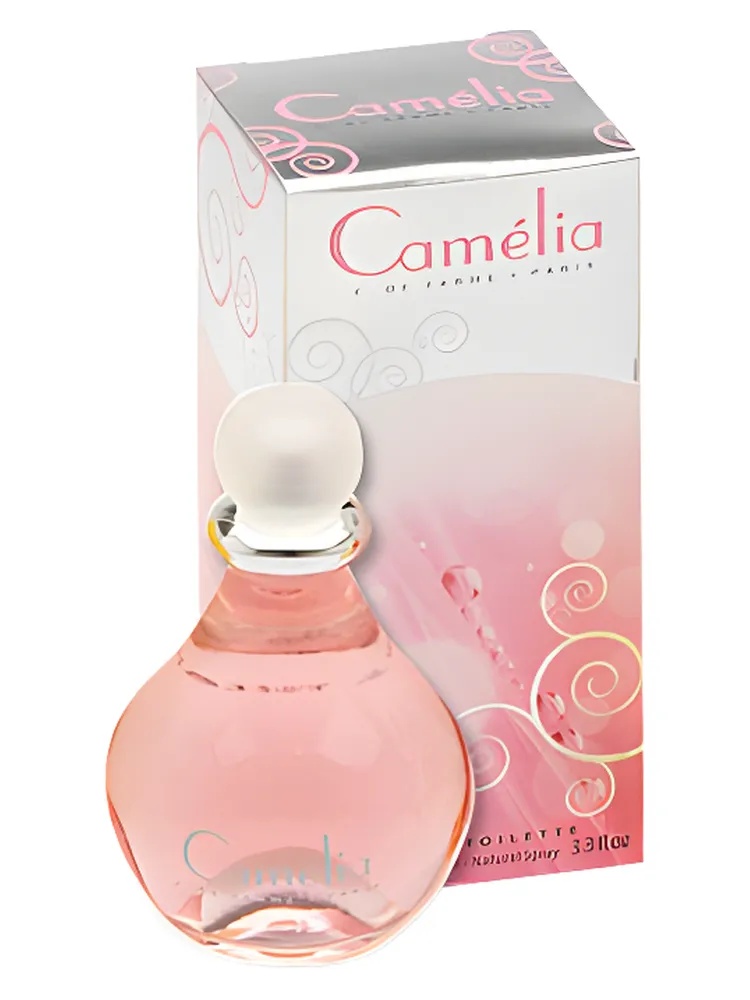 Camelia