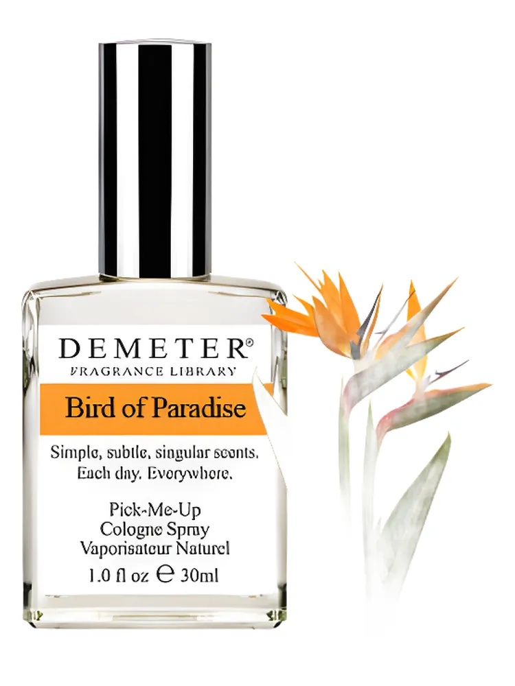 Bird of Paradise