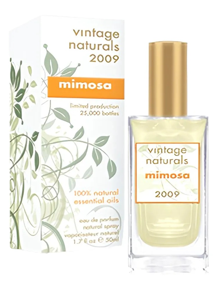 Mimosa