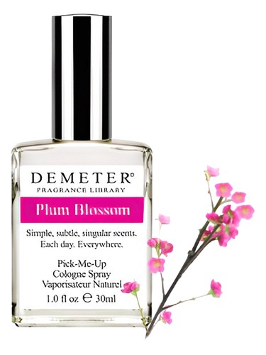 Plum Blossom
