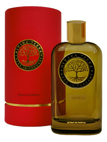 07 Intesa